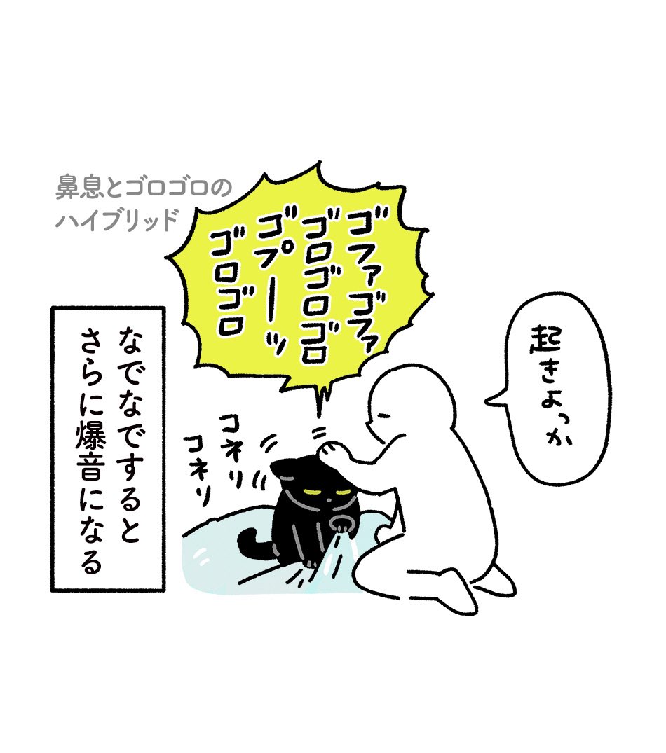 すごく自由な感じでかいぬしと寝てるねこの絵日記、つづき (2/2) 