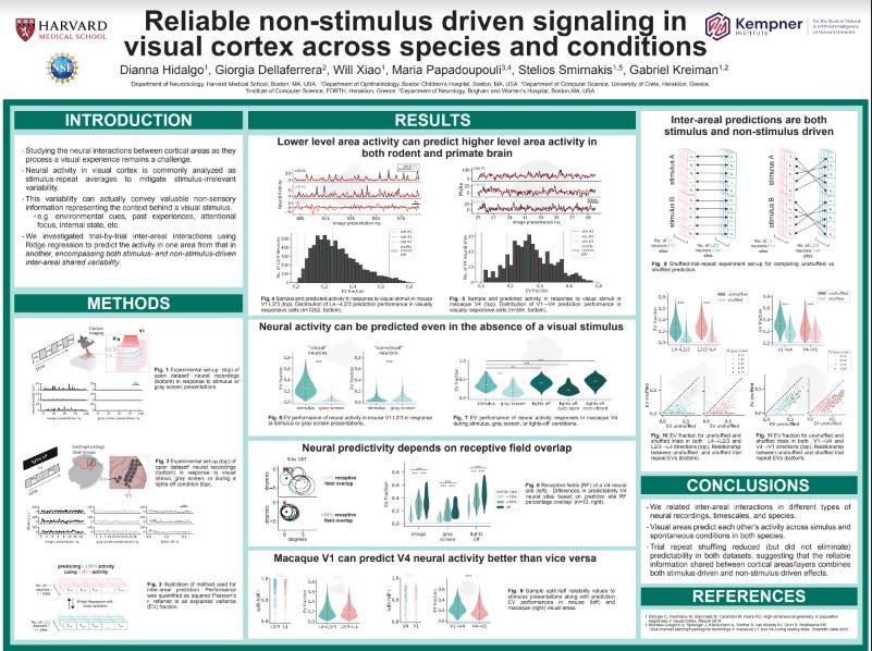 Kempner Institute at Harvard University (@kempnerinst) on Twitter photo We're here at #SfN24 in Chicago! Stop by the early career poster session today & check out #KempnerInstitute Grad Fellow @DiannaHidalgo who is presenting “Reliable Non-Stimulus Driven Signaling in Visual Cortex across Species and Conditions” - poster C114. <a href="/gkreiman/">Gabriel Kreiman</a> <a href="/SfNtweets/">Society for Neuroscience (SfN)</a> We're here at #SfN24 in Chicago! Stop by the early career poster session today & check out #KempnerInstitute Grad Fellow @DiannaHidalgo who is presenting “Reliable Non-Stimulus Driven Signaling in Visual Cortex across Species and Conditions” - poster C114. <a href="/gkreiman/">Gabriel Kreiman</a> <a href="/SfNtweets/">Society for Neuroscience (SfN)</a>