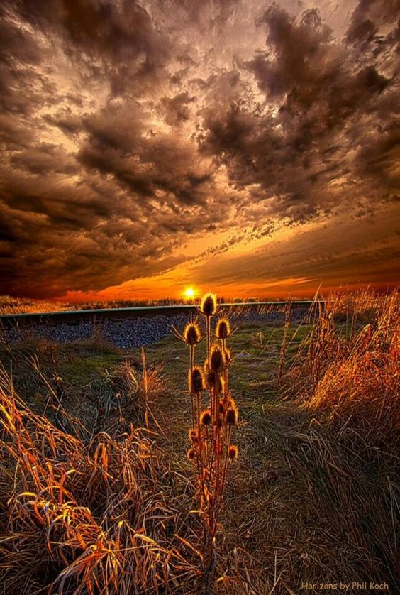 G.K. (@gk120652) on Twitter photo 