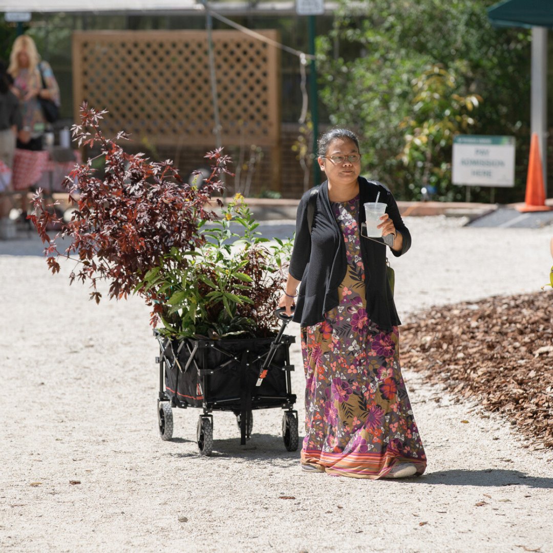 NEXT WEEK | @Gardens_USF' Fall Plant Festival is almost here! Bring a friend and a wagon to explore the beautiful gardens and meet some incredible local vendors! 

When: Oct 12th &amp; 13th, 9 AM - 3 PM. 
Where: 12210 Pine Dr. Tampa, FL 33612. 

See you there! 🌻🌾
