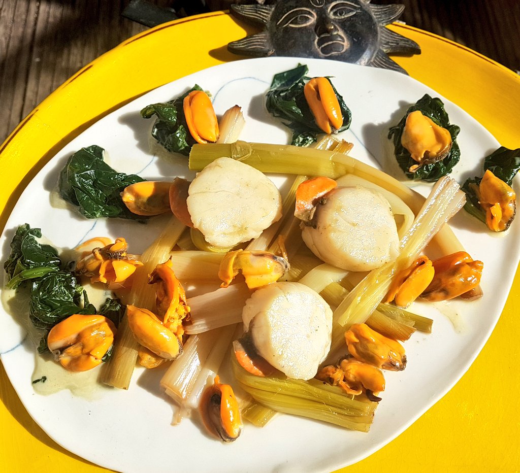 Menu solaire du jour :
- Macarons végé-mer de luxe, émincé de courgette rôti aux petits oignons blancs
- Saint-Jacques primeures et moules de bouchot sur un nid de blancs de poireau et tombées d'épinards
100%🌞 et délicieux 😋