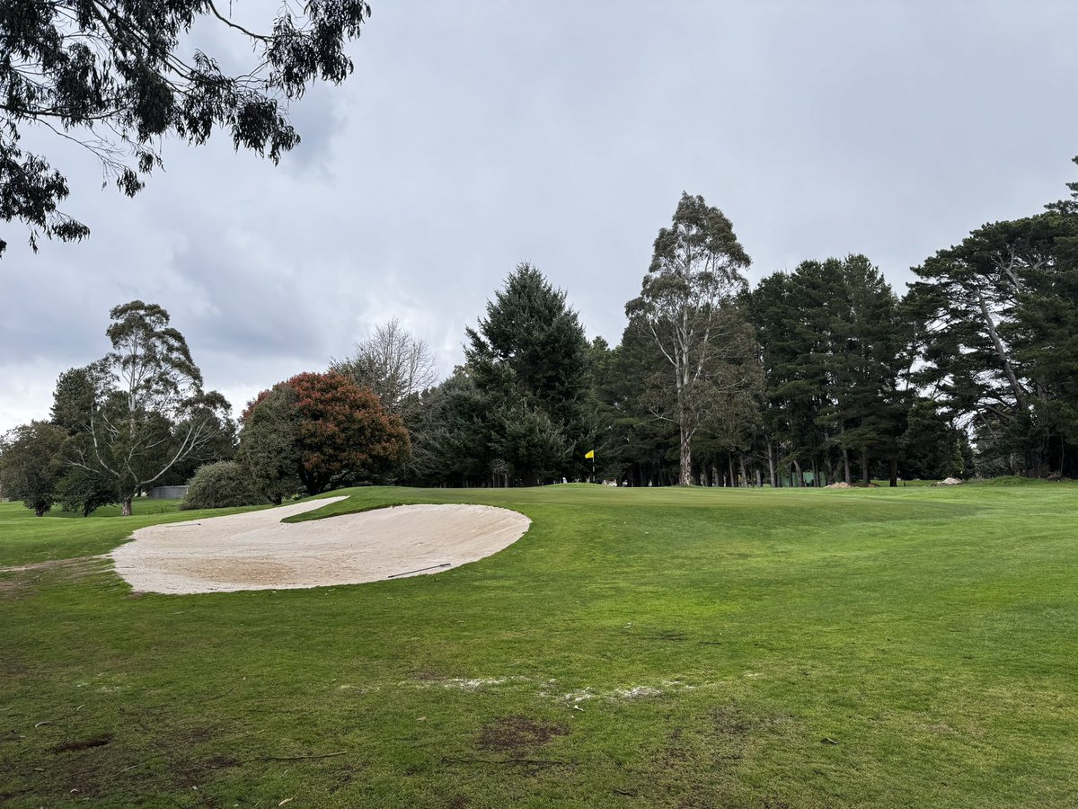Trentham_GC's tweet photo. Our new remodelled bunker green side on 17 https://t.co/HgDF5gCQoy