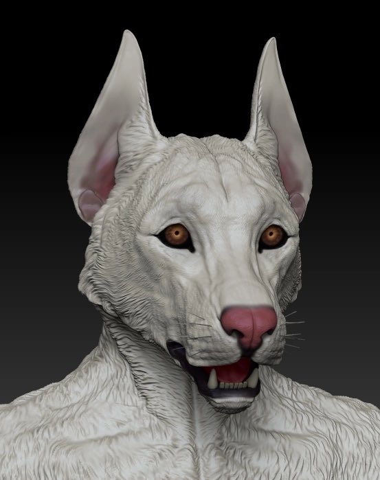 iazzzer's tweet photo. #FURRY #dog #3dmodel https://t.co/5FYAMCkBv3