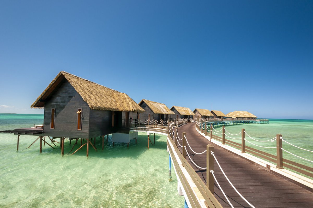 MinturCuba's tweet photo. 🌴🌴🏝 Cayo Guillermo es una isla situada en el archipiélago de los Jardines del Rey. Es conocida por sus playas de arena blanca, aguas turquesas y su belleza natural. #Cuba ⛱🏖⛱🌞😎 #CubaUnica  👉 👉 👉  https://t.co/f4CRYuLwtE https://t.co/l53jHTViZ2 https://t.co/ztLm4GENw2 https://t.co/6Vcyi0efQF