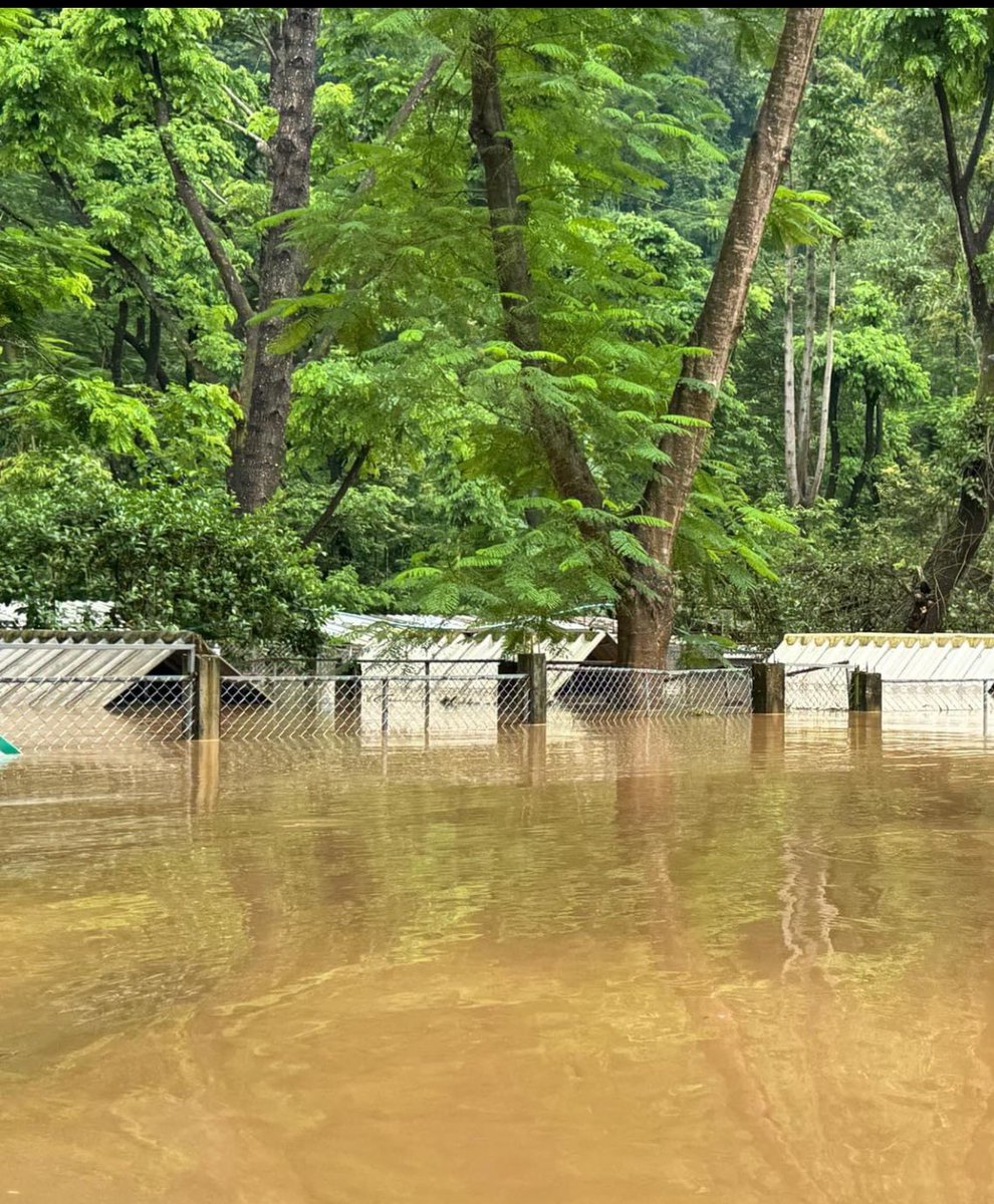 Lucy crew tweet media