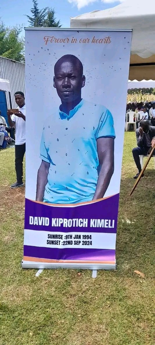 Prof Phyllis Bartoo tweet media