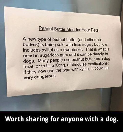 woofknight's tweet photo. https://t.co/WM2rbyjatq