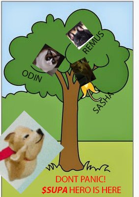 $SUPA will rescue everyone :)