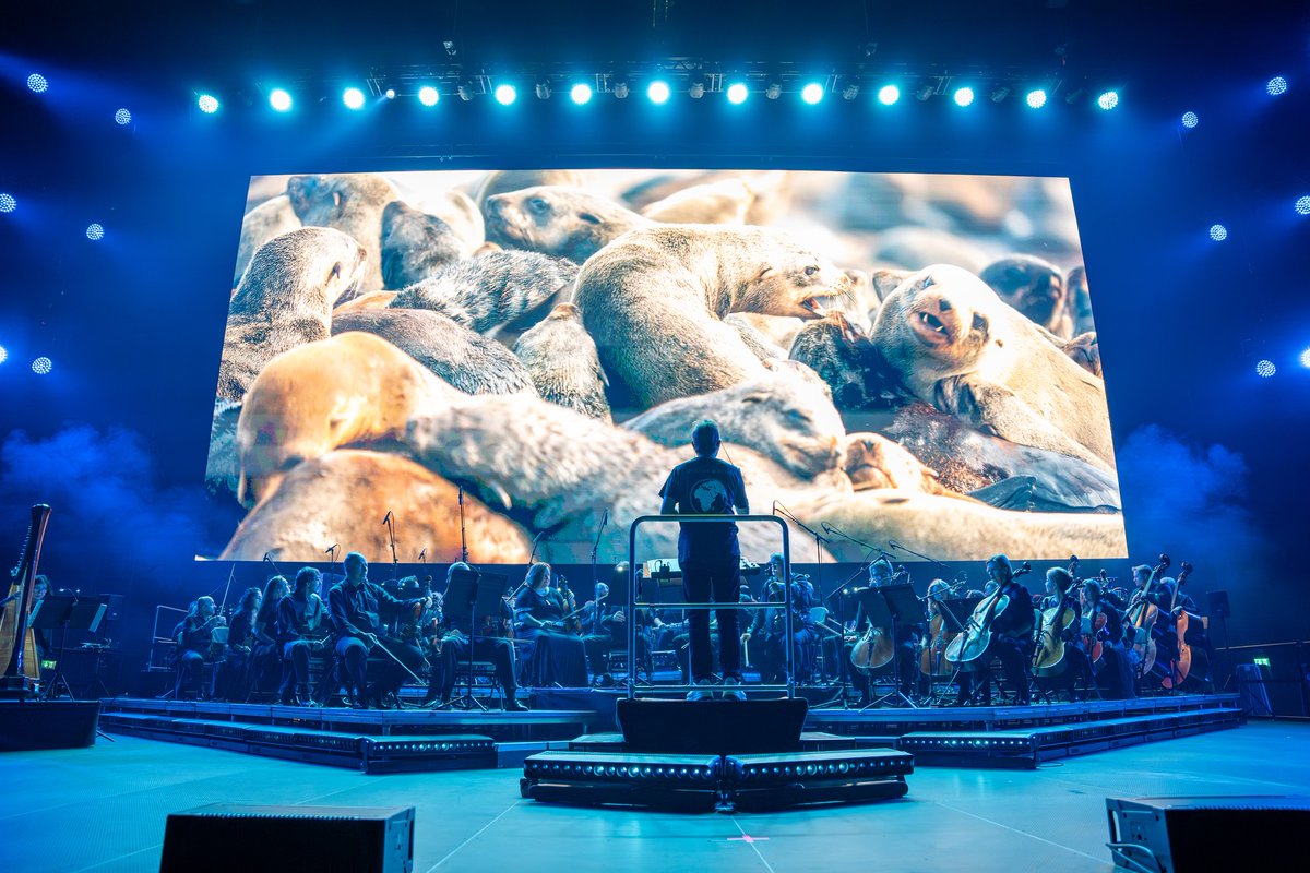 OVO Arena Wembley tweet media