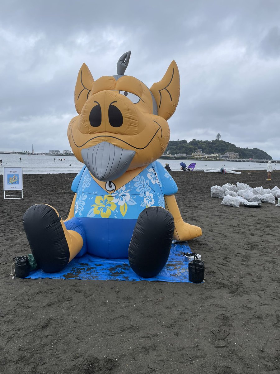 BLUESHIPJAPAN's tweet photo. 本日は神奈川県藤沢市にてPIG FESに参加しました。海を想う気持ちが1つになって感動的でした。
#pigfes #海さくら #blueship https://t.co/MpI0dBIG0m