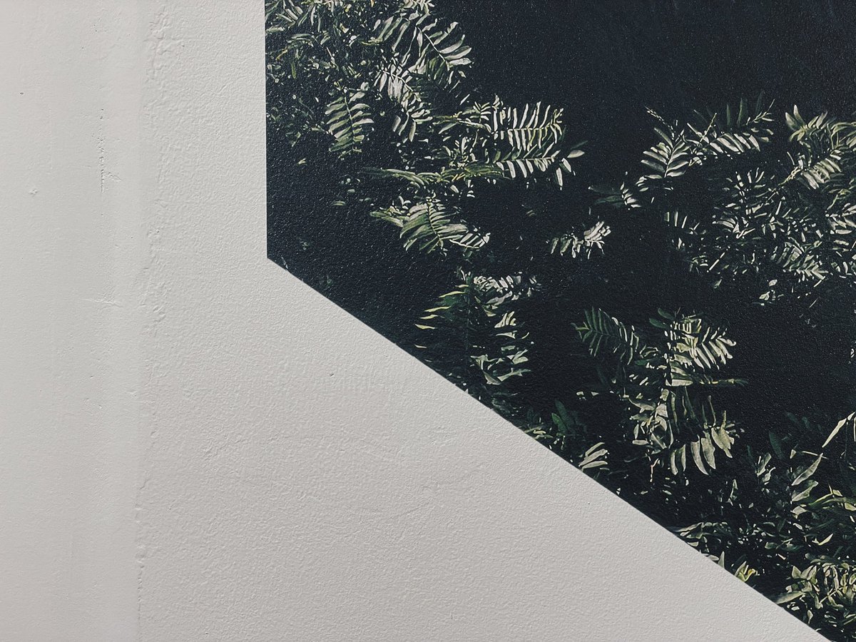 galleryMain's tweet image. 【開催中】
写真家中澤、彼なりの写真の楽しみ方と向き合った原点回帰的な展覧会