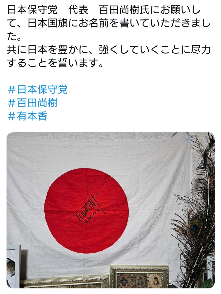 そもそも国旗に落書きは日輪とか白地とか問わずにすべきでないと思う