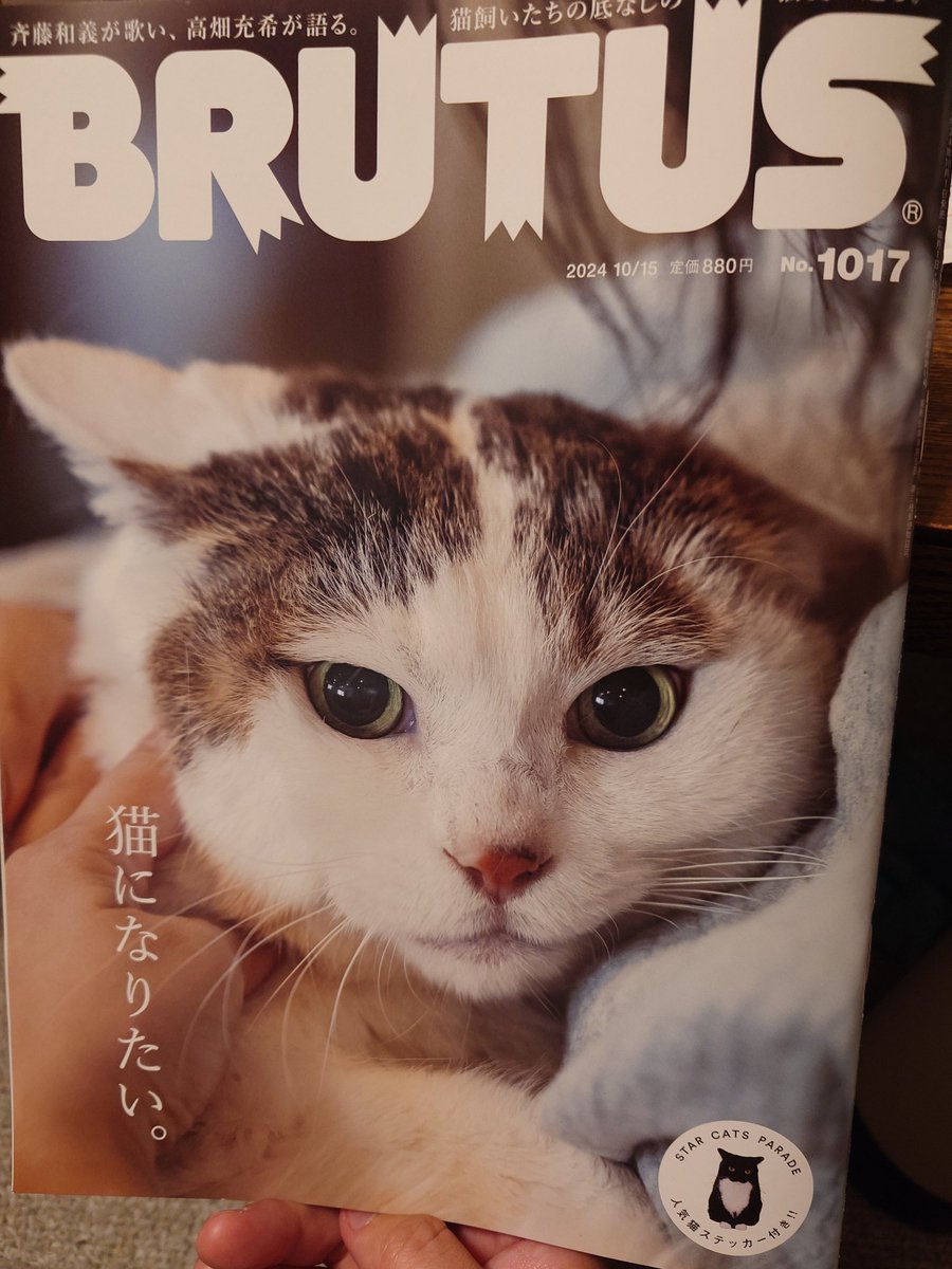 suzuki233's tweet photo. BRUTUSの表紙の子、ウチの子に似てる！と思って買ってしまいました✨かわいい😍 https://t.co/kZU2T4xlS2