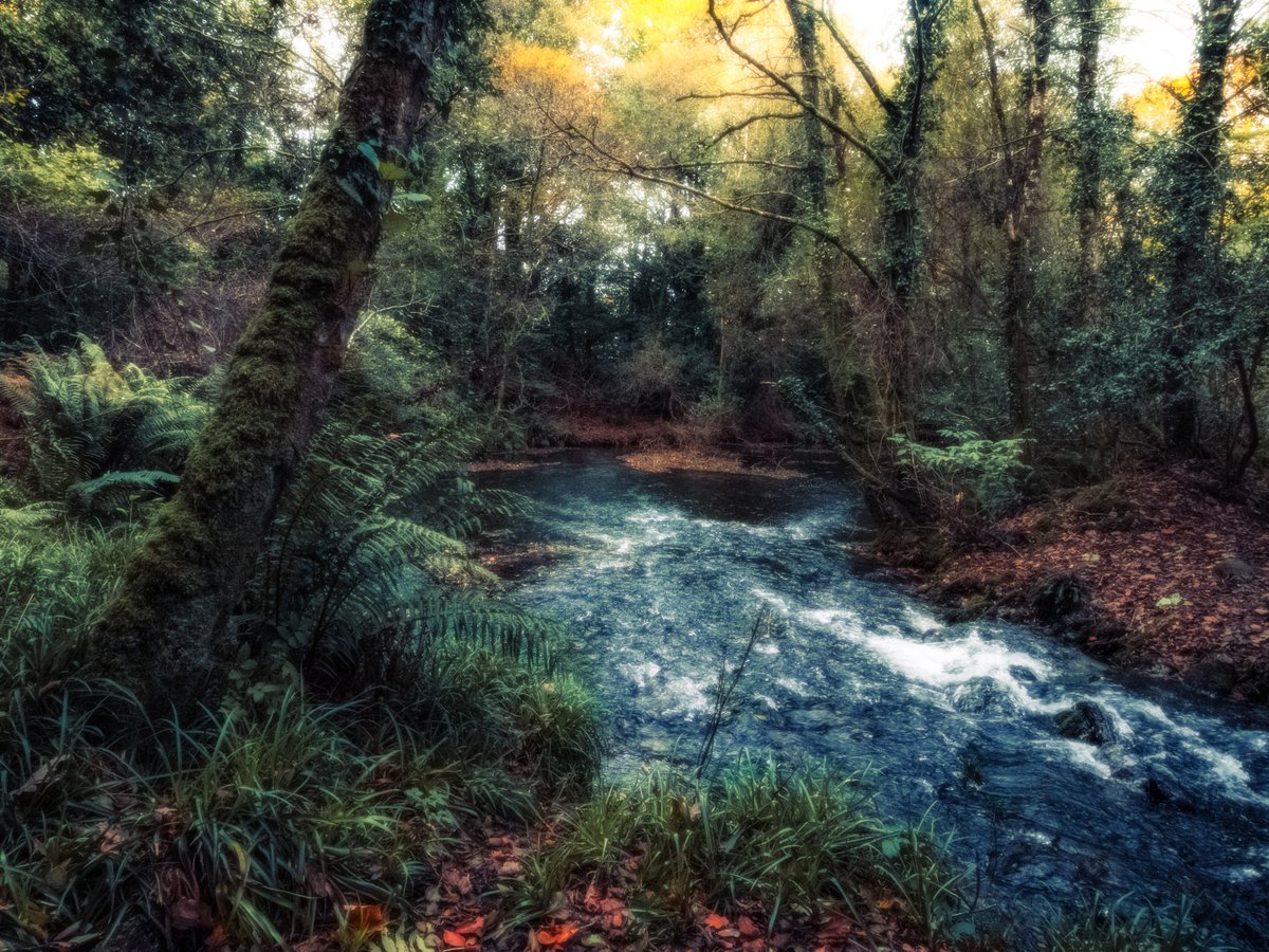 Sean Murphy tweet media