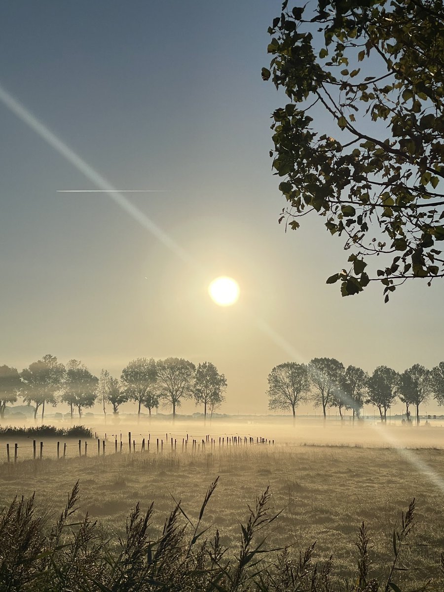 Wenneke123's tweet photo. About yesterday 🌞🍁🍂 https://t.co/9ZtvxBZm3J