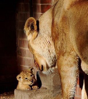 𝚑𝚊𝚙𝚙𝚒𝚗𝚎𝚜𝚜 | วิบ์มณ์ tweet media