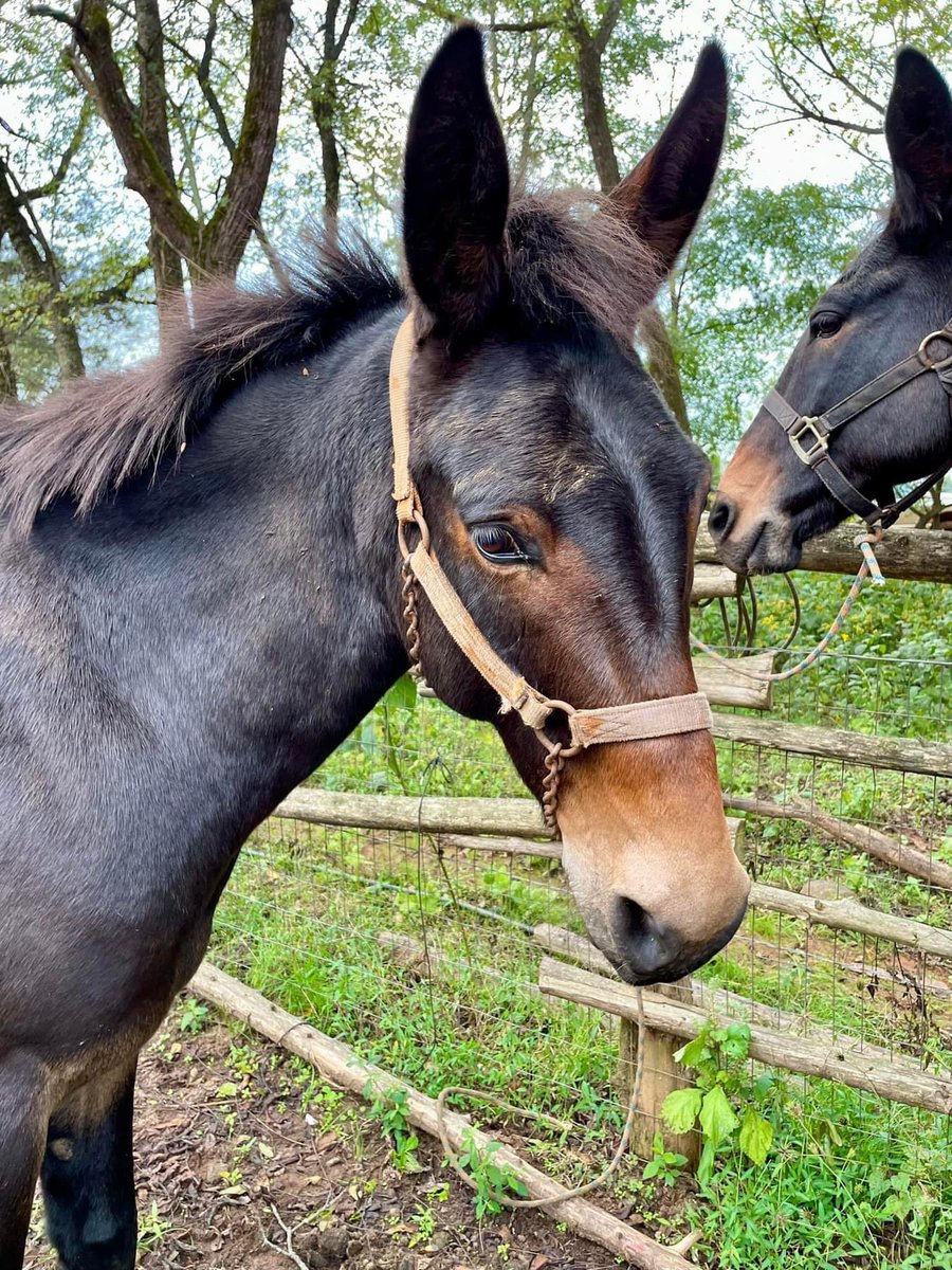 NYFarmer tweet media