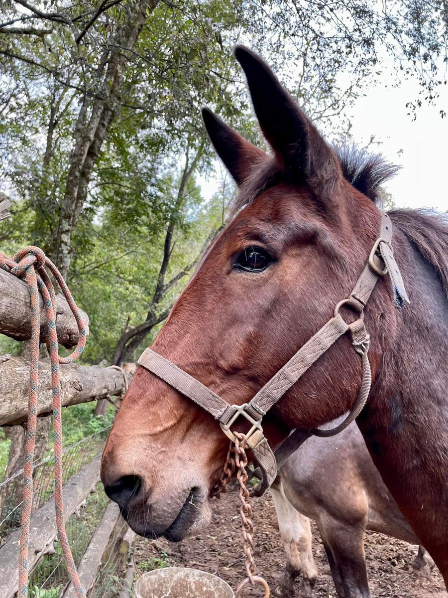 NYFarmer tweet media