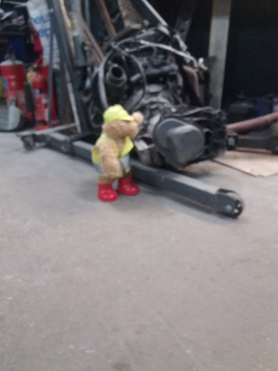 Edward🐻 tweet media