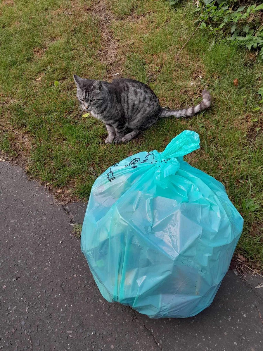 1/3… Thank you to everyone who got involved with our litter pick today in the sunshine ☀️ We had visitors from Dereham Church Infants School &amp; Nursery who managed to pick 3 bags weighing 8.4kg - well done!

🚮 26 volunteers inc 5 newbies
🚮 23 bags
🚮 49.2kg