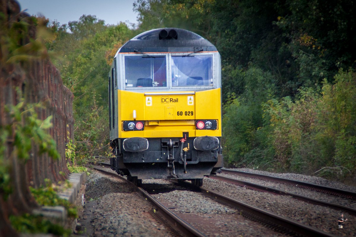 Bennybizzle1's tweet photo. #SixtySaturday @DCRailOfficial 60029 appeared on 0Z60 today. Seen here knocking leaves from branches on Gretton viaduct. Not the shot I wanted but the ironwork adds some interest. https://t.co/VQsAwXvTuL