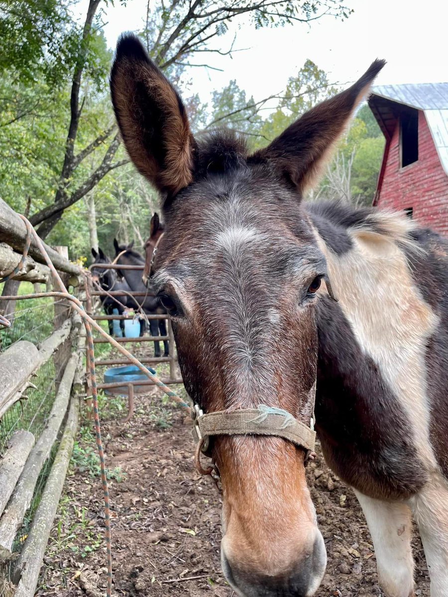 NYFarmer tweet media