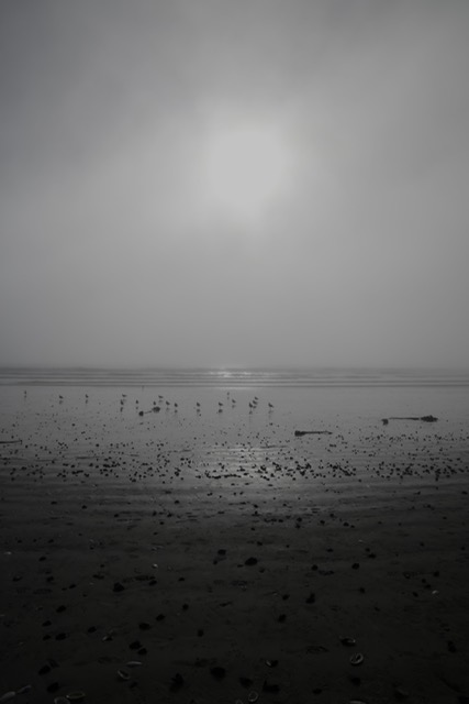 I 💜 Weskus Newsletter - mailchi.mp/61fb9de77b4b/i…

Click on Facebook Page Newsletter tab to subscribe to this monthly newsletter.

PHOTO: Jasper Kroep
Location: Brittania Baai