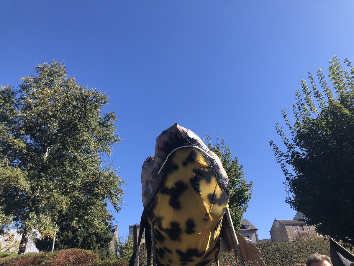 Manon Pengam tweet media