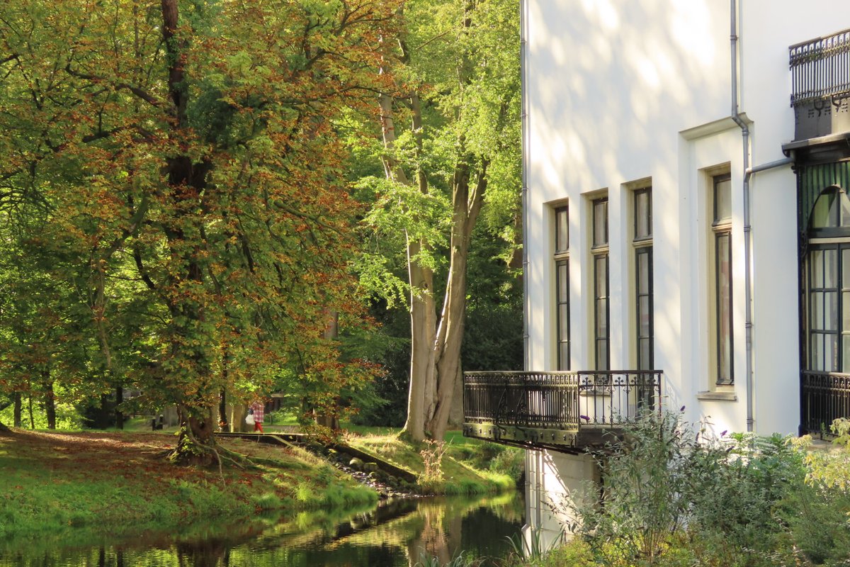 Elsbeth Kwant tweet media