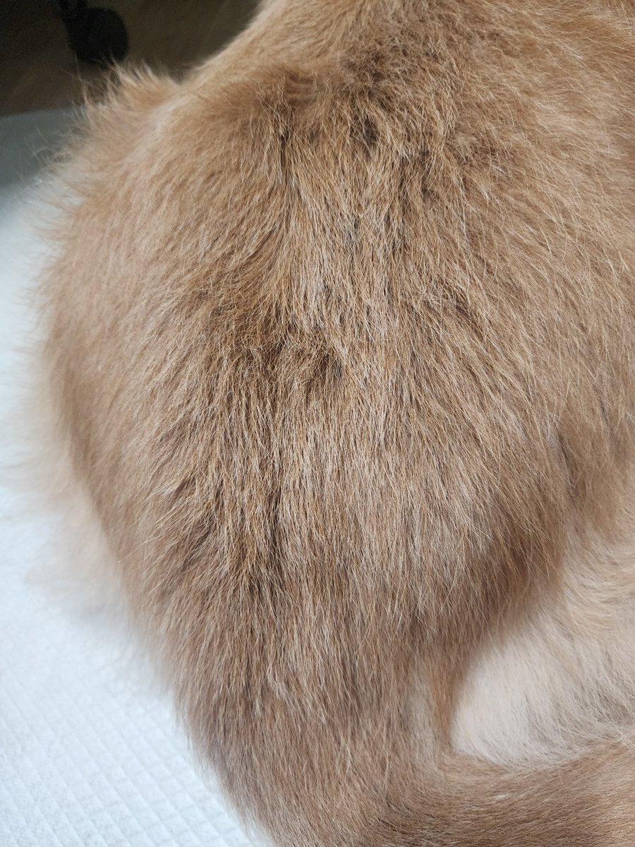 엉덩이무한제공