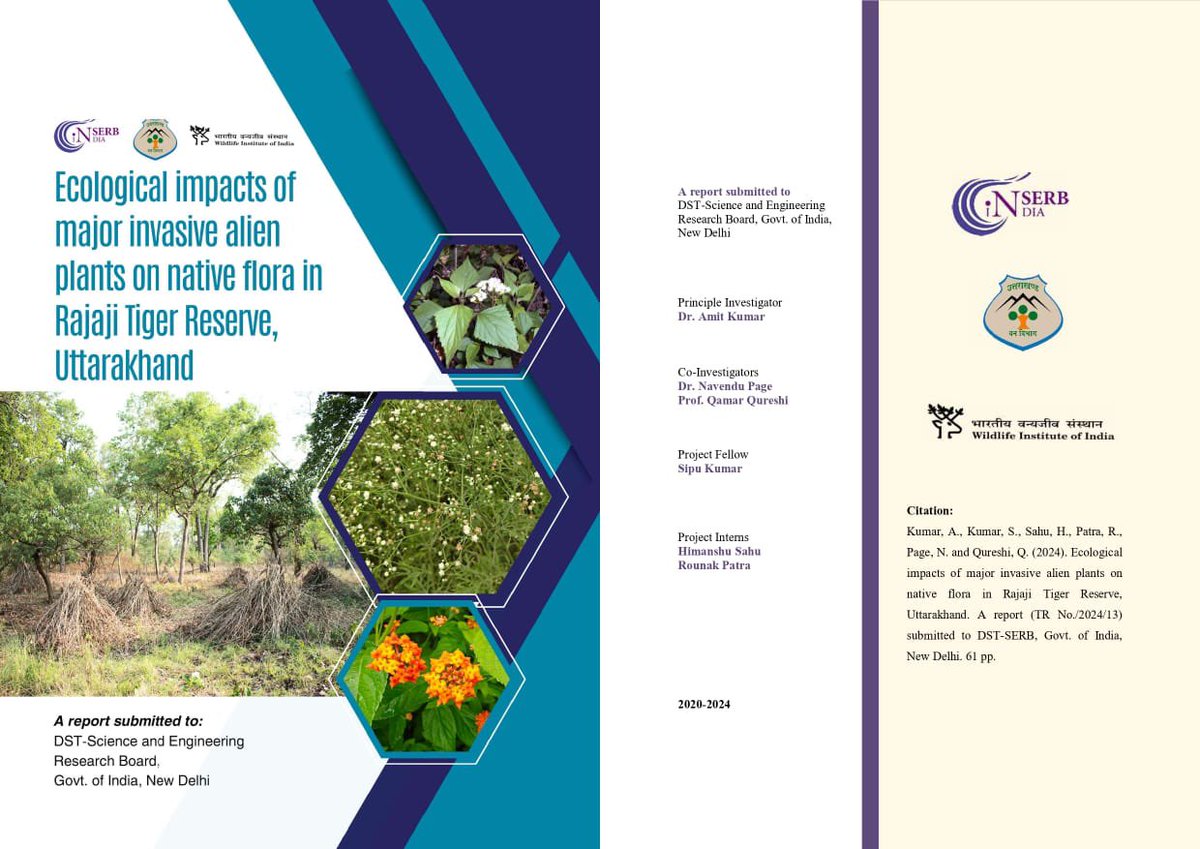 wii_india's tweet image. Control is the key! Technical report of the DST-SERB funded study (2020-2024) was released by the Director General of Forests &amp;amp; Special Secretary, MoEFCC, Government of India which focused on understanding the spread, invasion pattern and control of _Lantana camara, Parthenium…