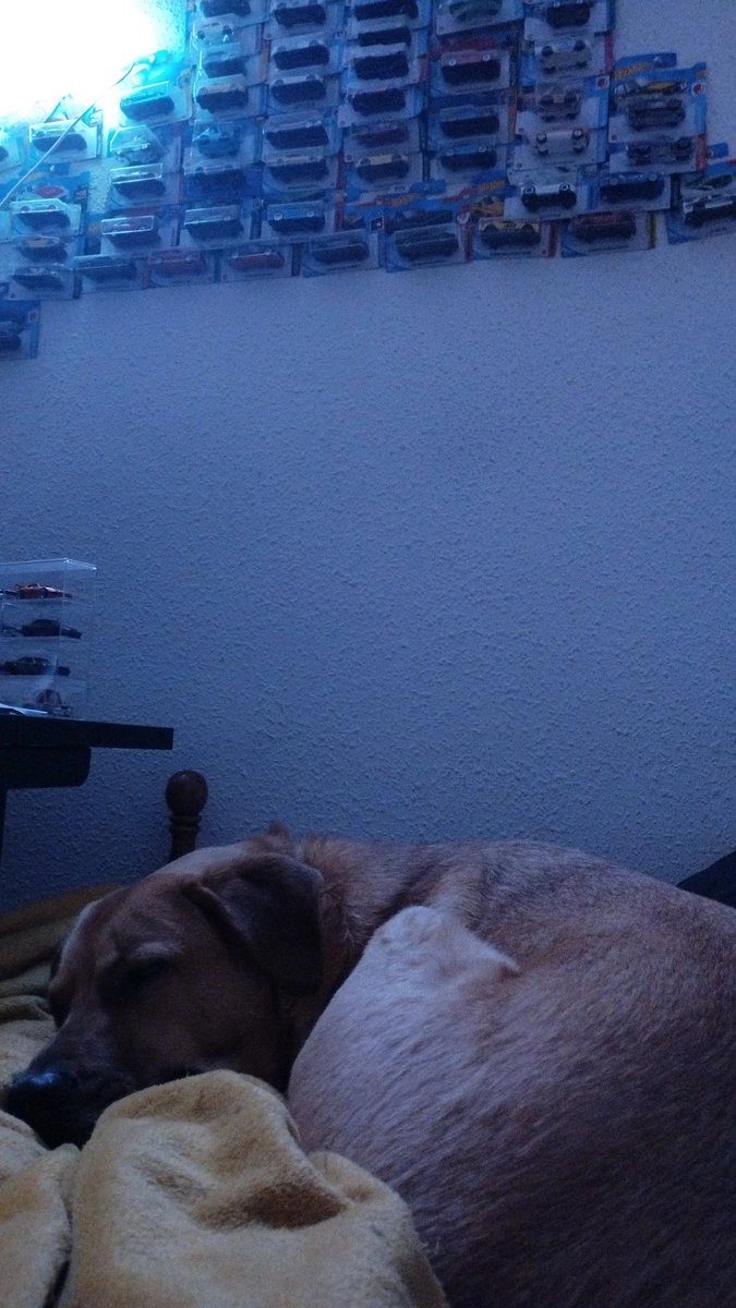 Toy malita y Sage me mima💖