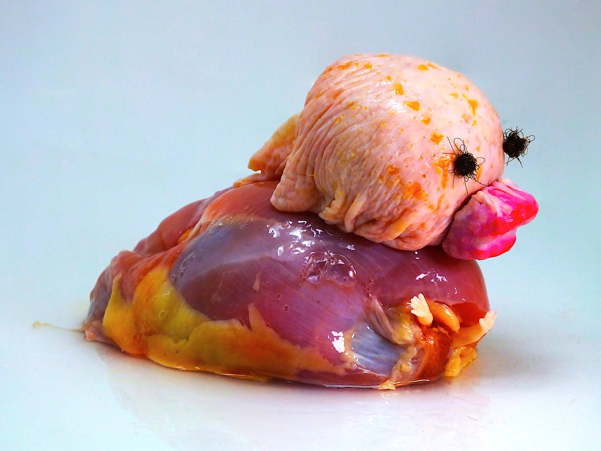 Share your bizarre art🥩