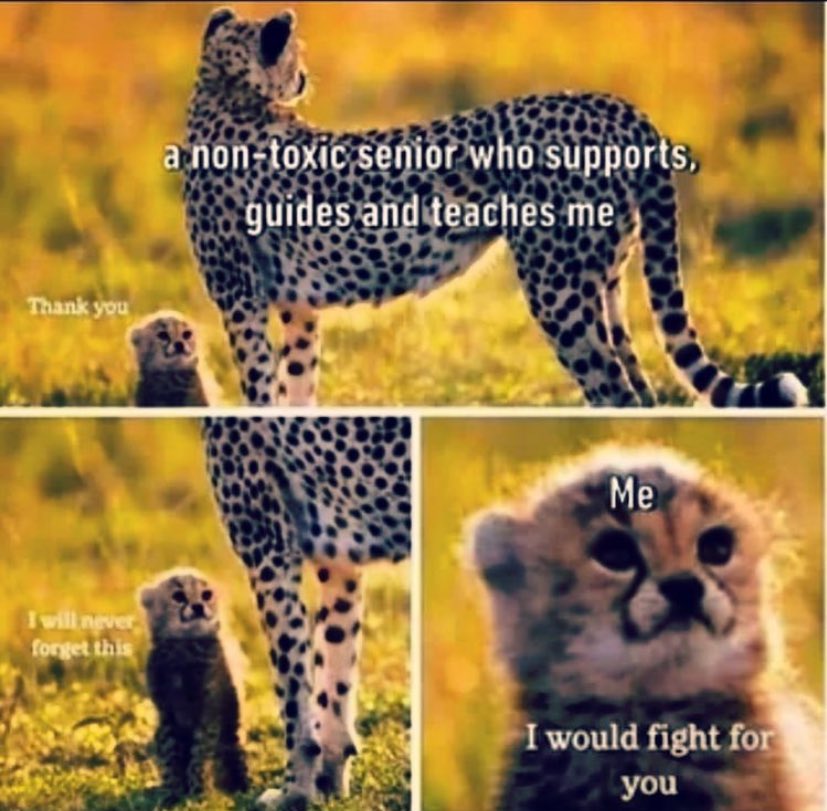 Helena Montoya (@montoyacaler0) on Twitter photo 