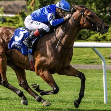 Michael Adolphson (@adolphsonracing) on Twitter photo Thrilled to team with multiple G1-winning rider Richie Mullen <a href="/rpmullen1/">richard mullen</a> for the first time this UAE season. A gentleman, longtime friend and a hell of a jockey. Exciting times ahead! Thrilled to team with multiple G1-winning rider Richie Mullen <a href="/rpmullen1/">richard mullen</a> for the first time this UAE season. A gentleman, longtime friend and a hell of a jockey. Exciting times ahead!