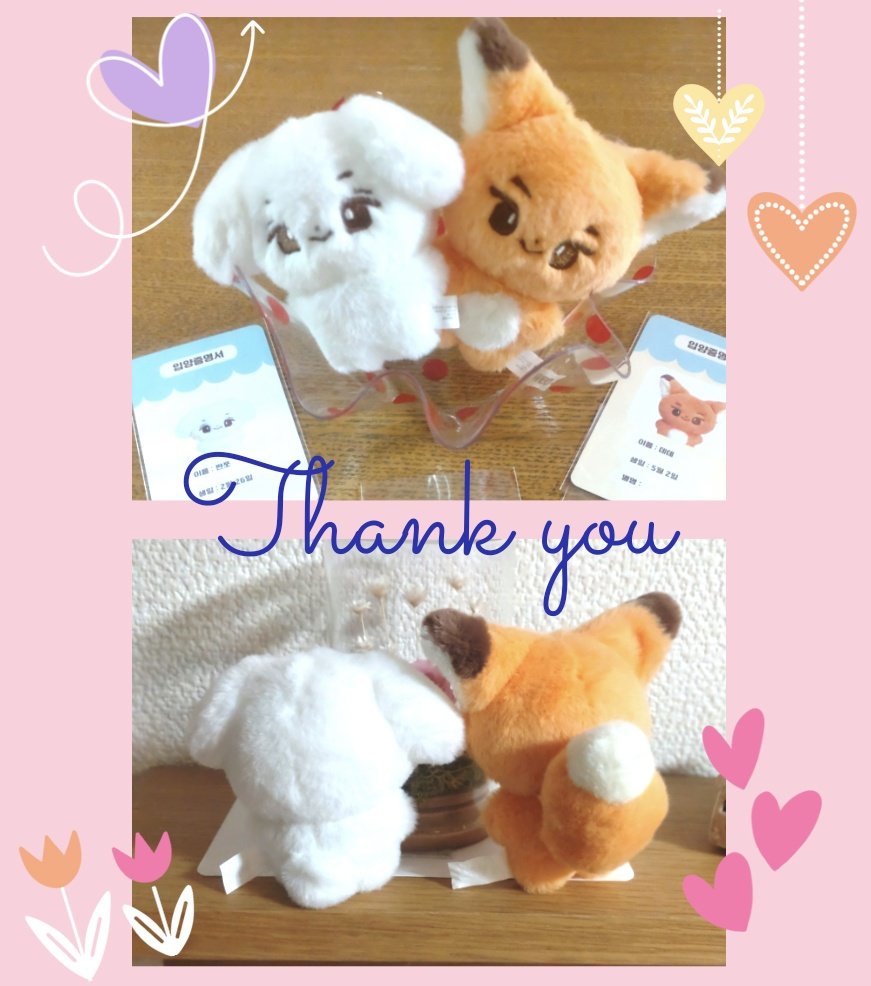 ミニソプジェちゃんが我が家にも来てくれました🩷手触りホワホワでほんとかわいい🥹後ろ姿もお気に入りです🎶

<a href="/daedae_sub/">🦊뎨뎨•짠쪼🍑</a> 様
<a href="/btobms_rie/">*Rie*리에*りえ*⁶</a> 様
本当にありがとうごさまいました✨大切にします🙏

#BTOB 
#이창섭 #육성재