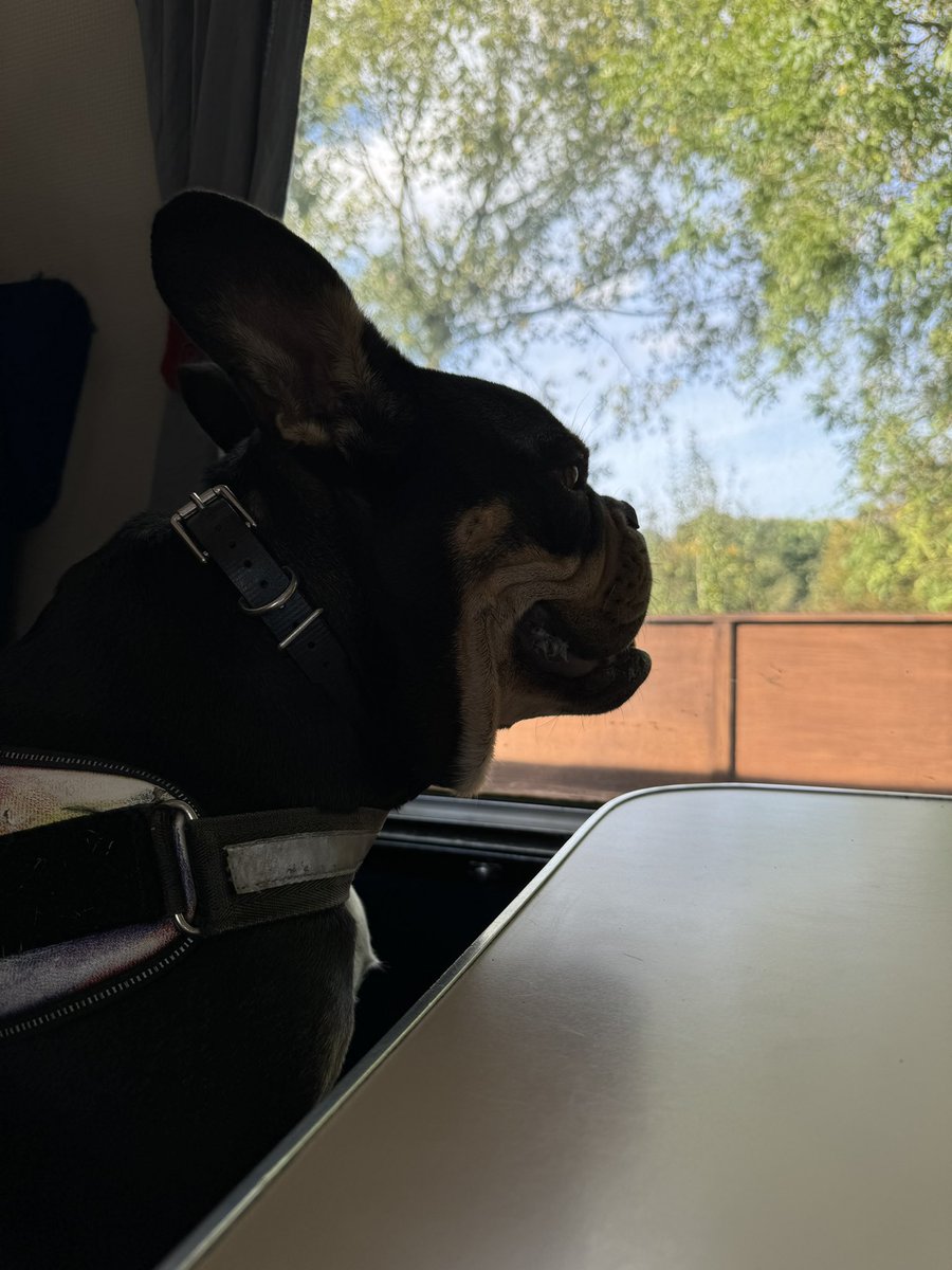 Vinnie Bones tweet media