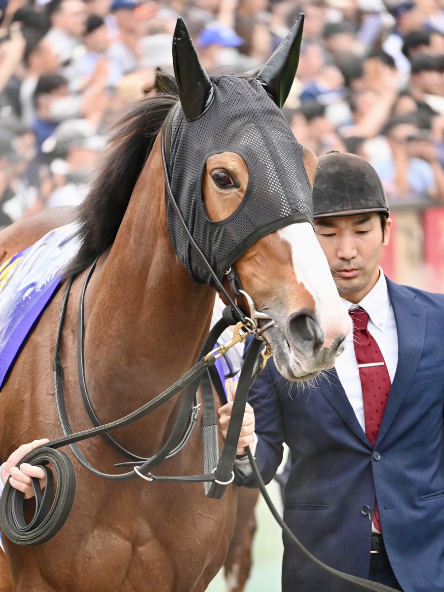 20noumi's tweet photo. 兄・姉・弟
#ノッキングポイント 
#チェルヴィニア
#アルレッキーノ https://t.co/BxSqhHSWgN