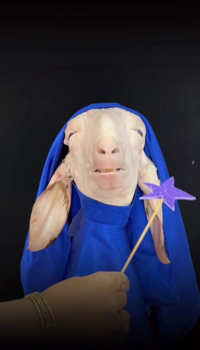 |پسرک بدون فرشته|🧚🏻 tweet media