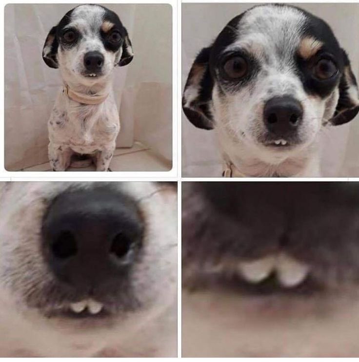 ㅤ