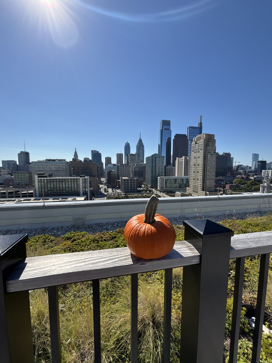It’s October 5th and the New York Mets are playing playoff baseball. Did I just go to the store and buy a pumpkin…absolutely. #PlayoffPumpkin🎃

Say it with me. #LFGM #Grimace #OMG