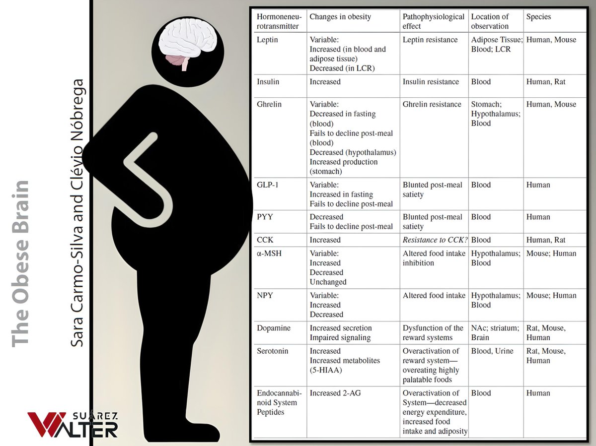 a_fisiolog57853's tweet photo. ALTERACIONES EN LAS HORMONAS REGULADORAS DEL APETITO Y DE NEUROPÉTIDOS EN OBESIDAD 

Recurso de utilidad https://t.co/X0hxCsgUjh