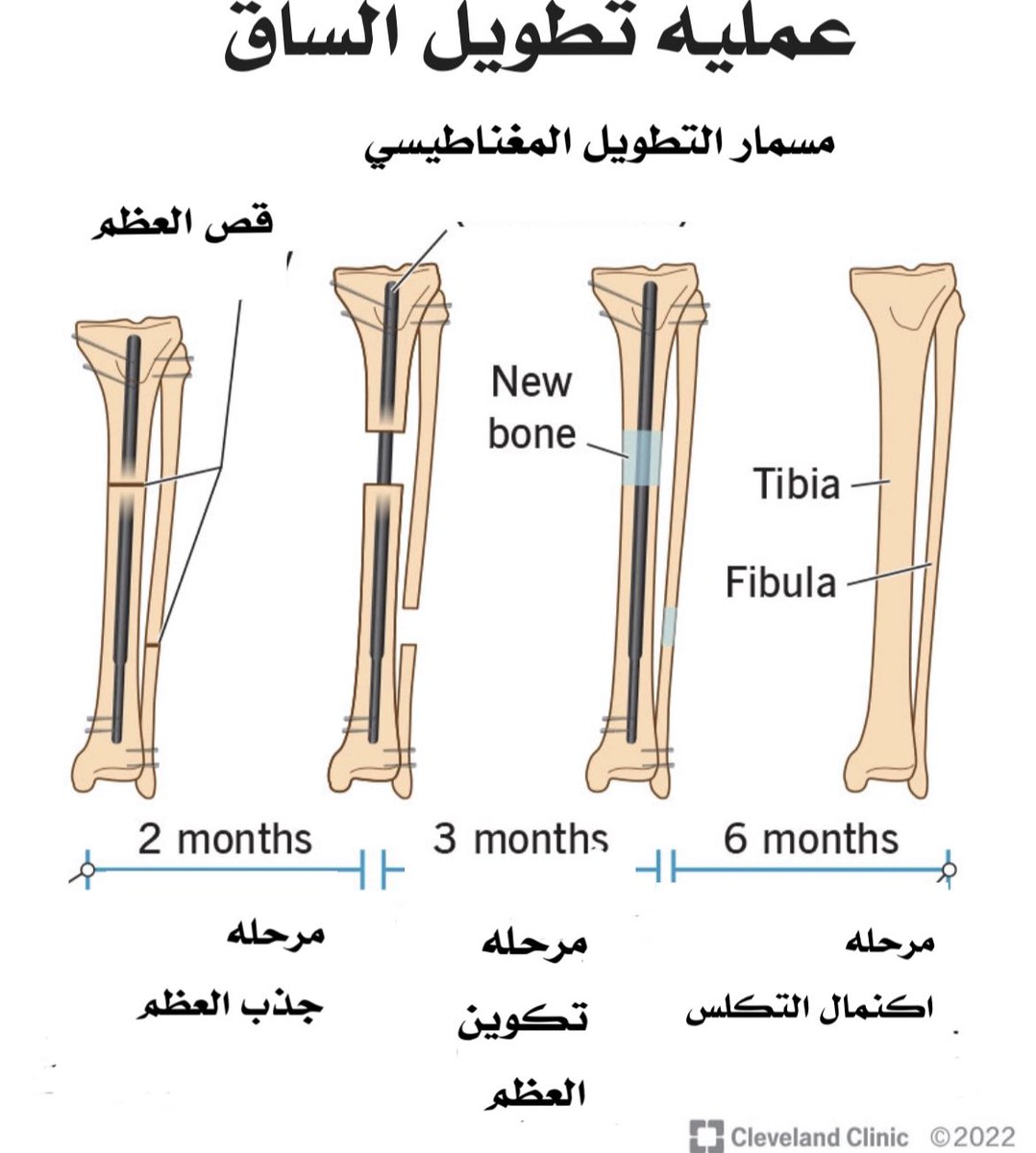 د عايض الشهرانيAyed Alshahrani tweet media