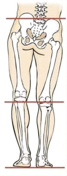 د عايض الشهرانيAyed Alshahrani tweet media