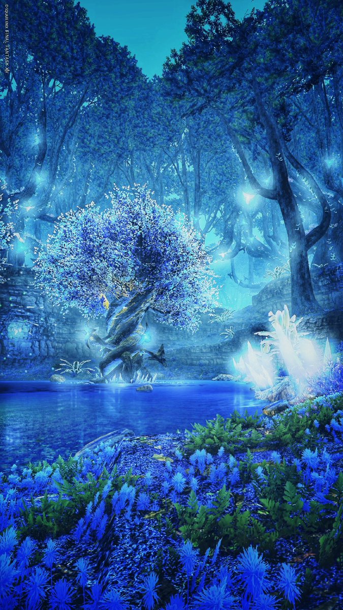 limsalove's tweet photo. 青い森って素敵
#FF14風景 https://t.co/opl95z0Jyq