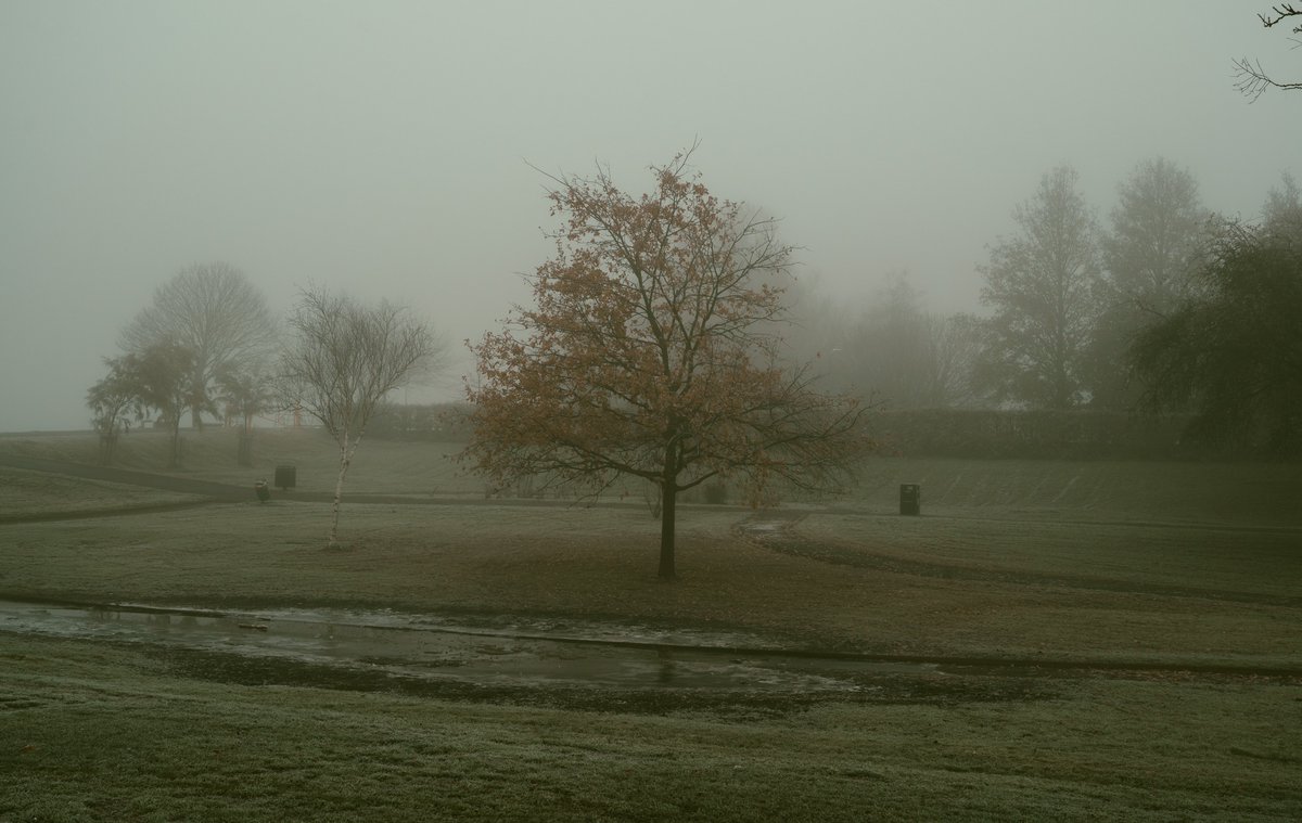 zosphotos's tweet photo. foggy Monde https://t.co/N6uEAFvjin