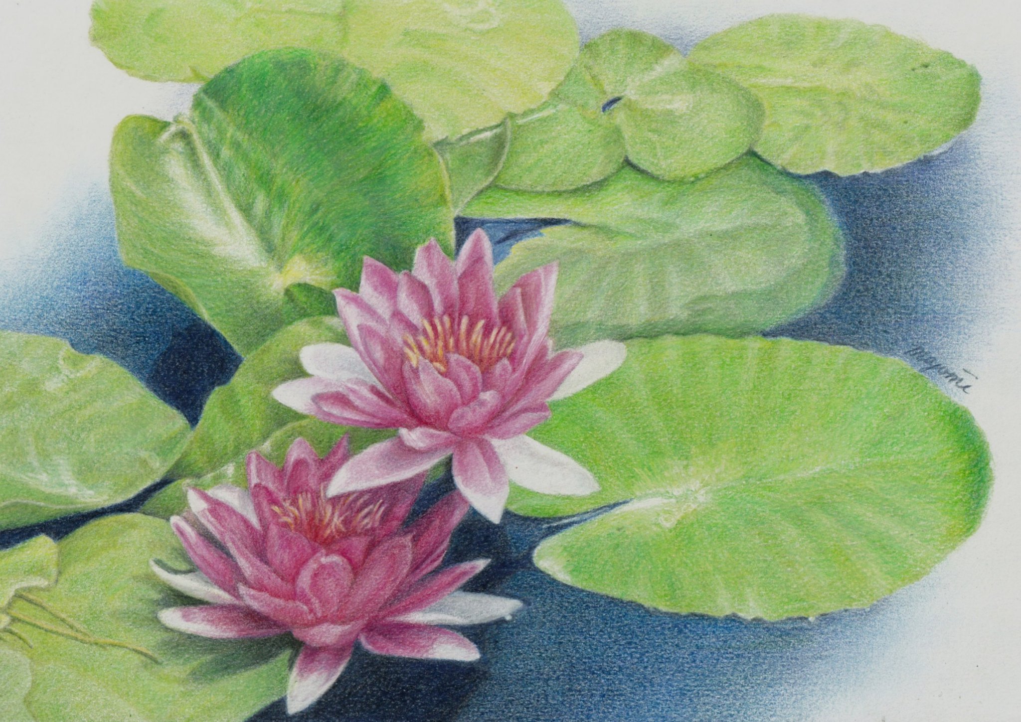 GZIb1-AacAALLf0.jpg:large