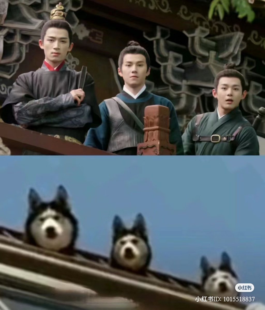 샤오홍슈에서 이런걸 봄,,,,
아 제발요ㅜ