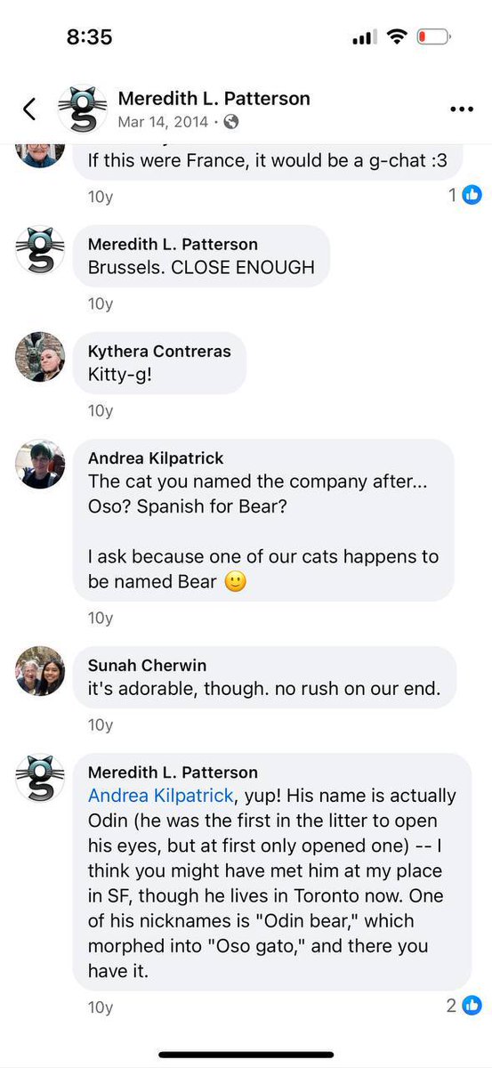 Odin_solana's tweet photo. Oso Gato, spanish for "Cat Bear", study me, meow meow https://t.co/21rGvGdMls