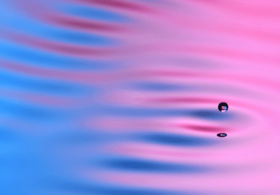 Physical Review X tweet media